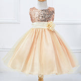 Girl floral princess party costume girls dress kids dresses for girls summer children clothing vestido tutu 2-10 Y baby clothes